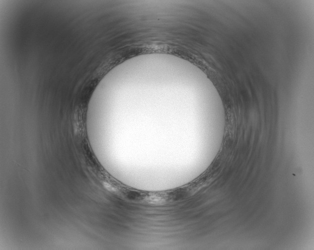 X0000073900236200608110944