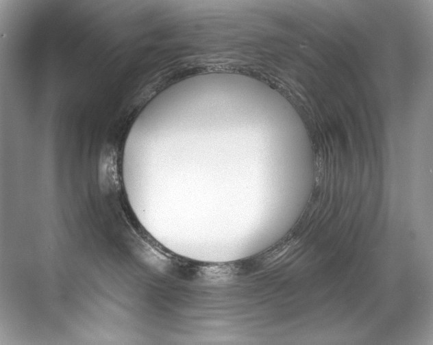 X0000073900238200608110944