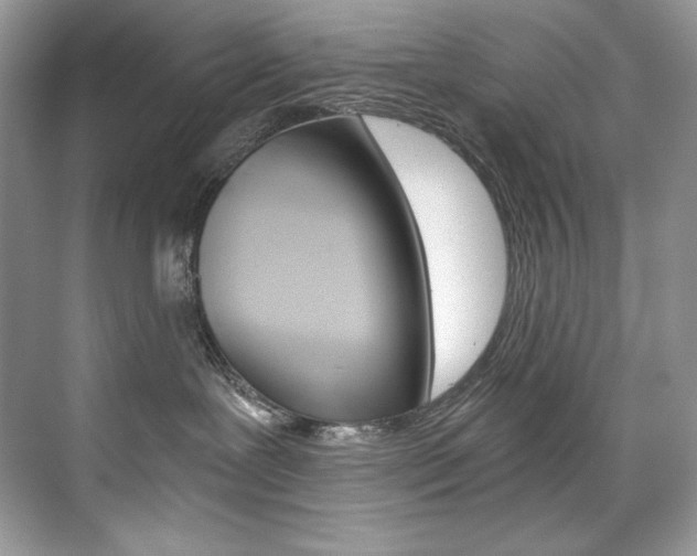 X0000073900239200608110944