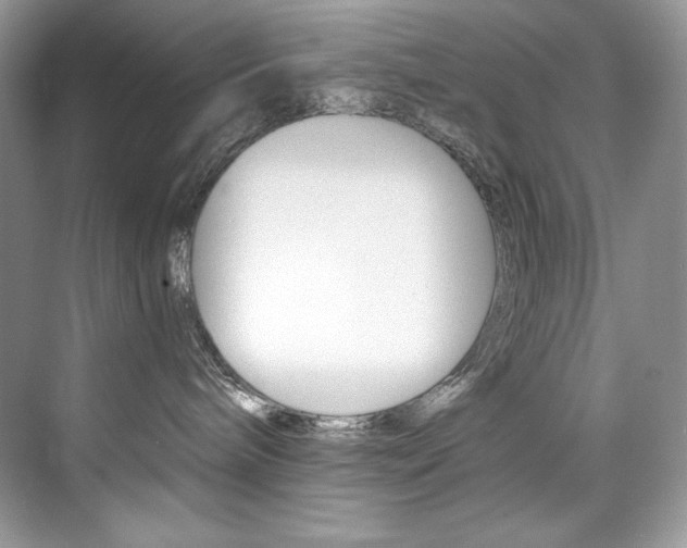 X0000073900240200608110944