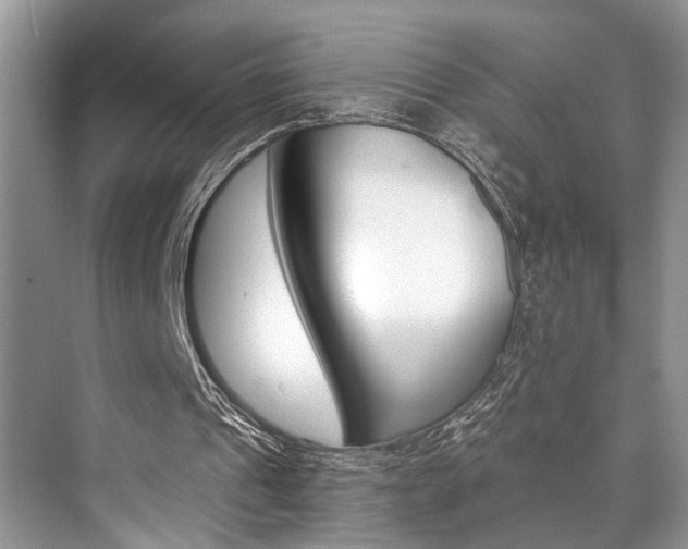 X0000073900241200608110943