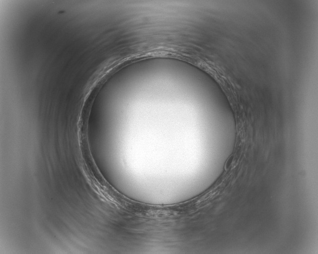 X0000073900242200608110943