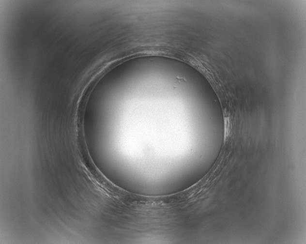 X0000073900243200608110943