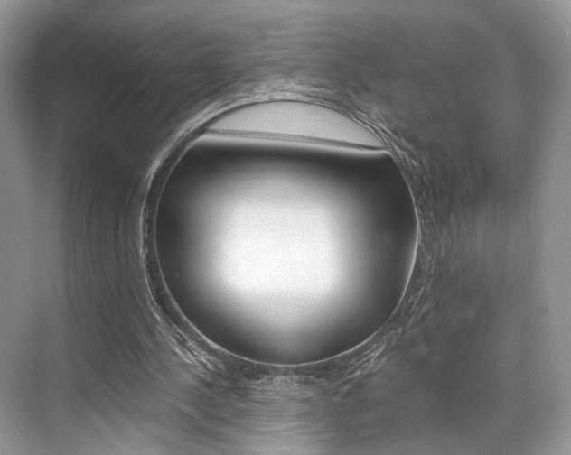 X0000073900244200608110943