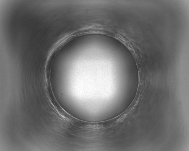 X0000073900245200608110943