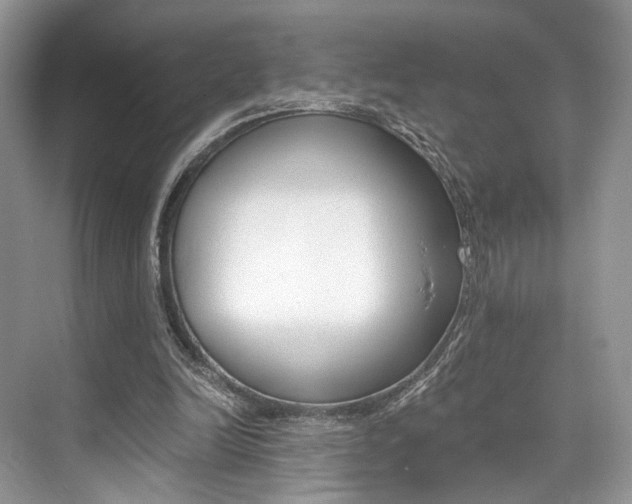 X0000073900246200608110943