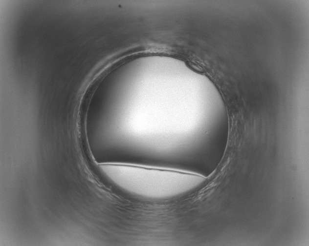 X0000073900247200608110943