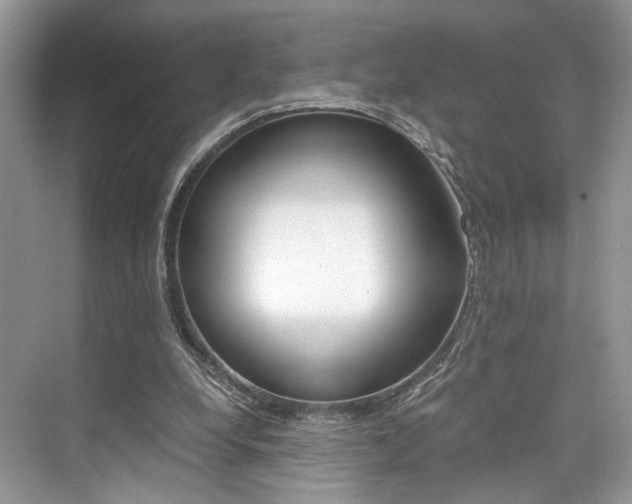 X0000073900248200608110943