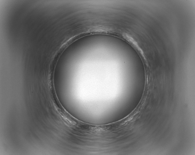 X0000073900249200608110943