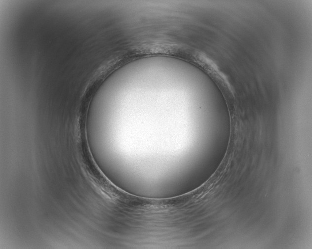 X0000073900250200608110943