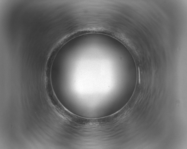 X0000073900252200608110943