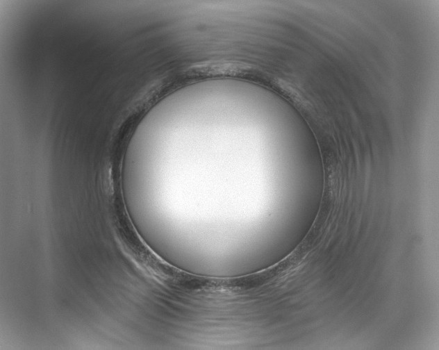 X0000073900254200608110943