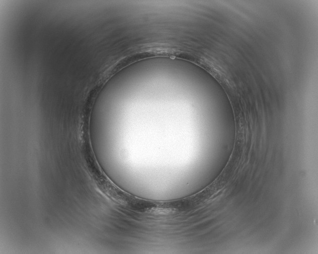 X0000073900255200608110943