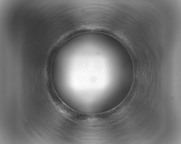 X0000073900256200608110943