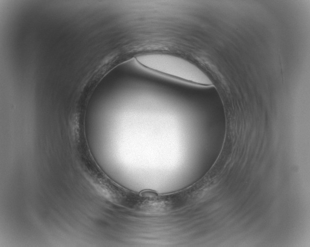 X0000073900260200608110943