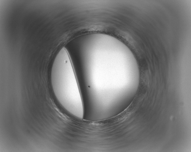 X0000073900261200608110943