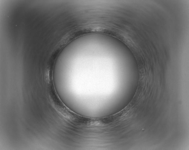 X0000073900262200608110943