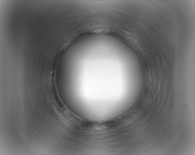 X0000073900263200608110943