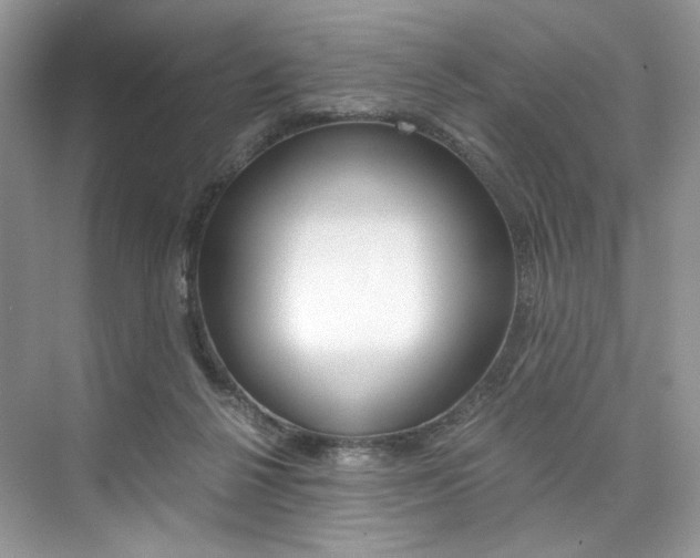 X0000073900264200608110943