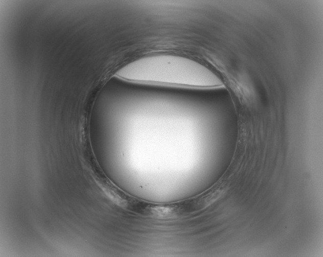 X0000073900265200608110943