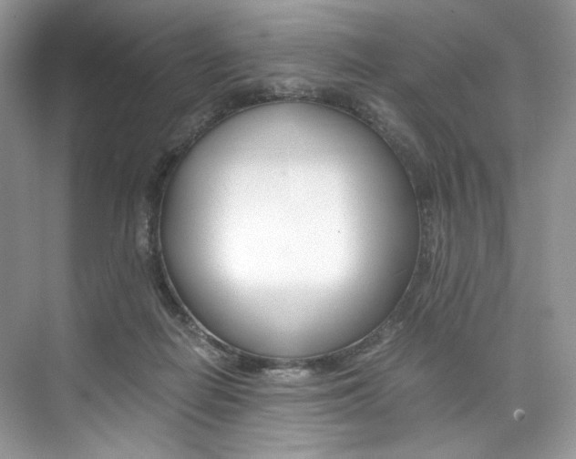 X0000073900266200608110943