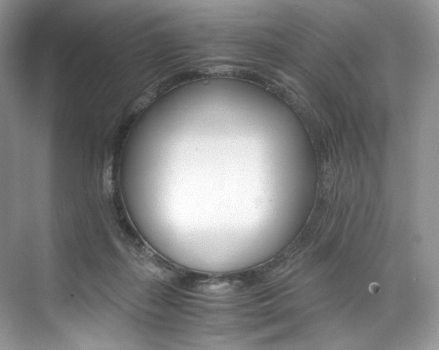 X0000073900267200608110943