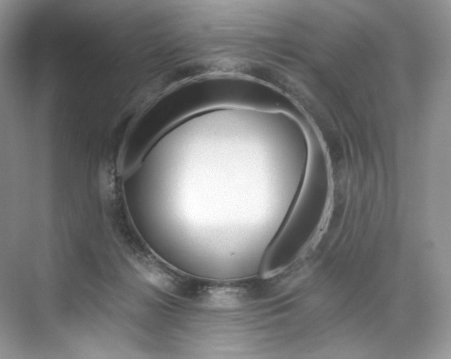 X0000073900268200608110943