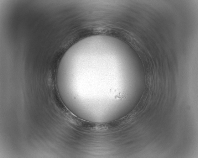 X0000073900270200608110943