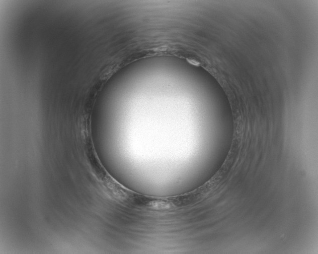 X0000073900272200608110943