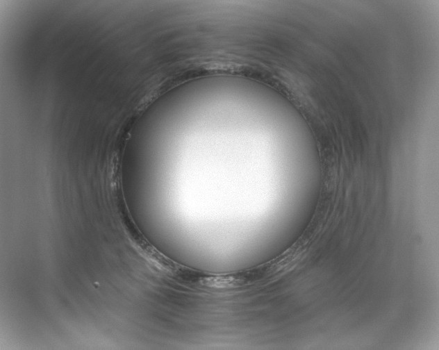 X0000073900273200608110943