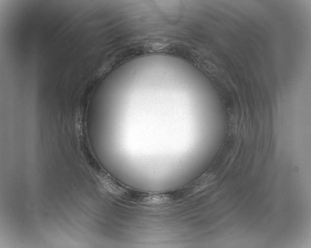 X0000073900274200608110943