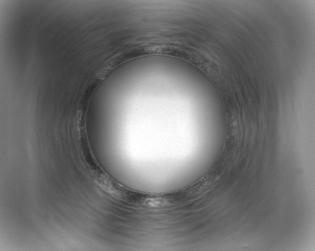 X0000073900275200608110943