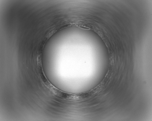 X0000073900276200608110943