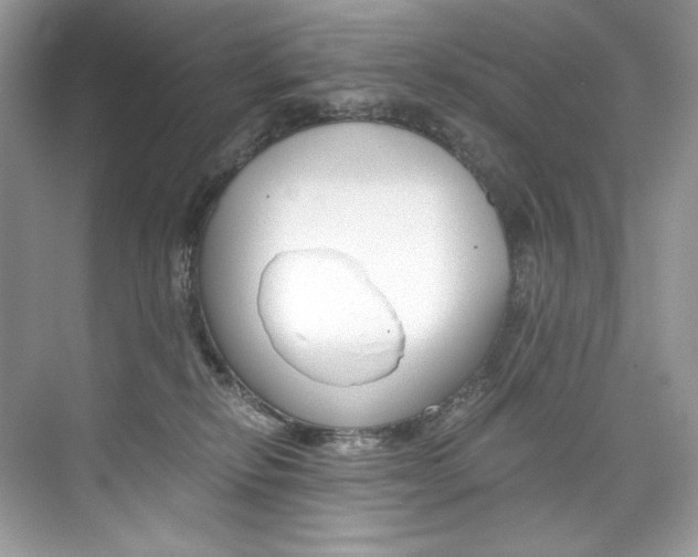 X0000073900278200608110943