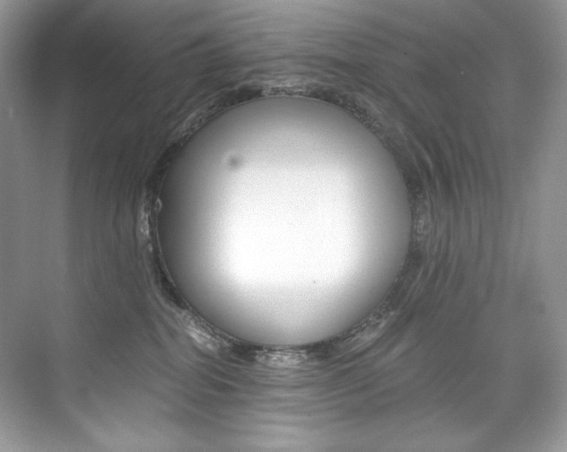 X0000073900282200608110943