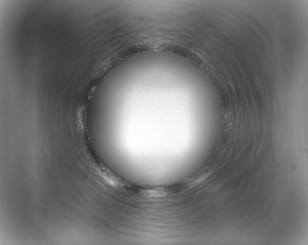 X0000073900286200608110943