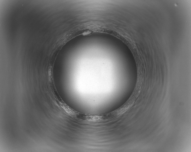 X0000073900288200608110943