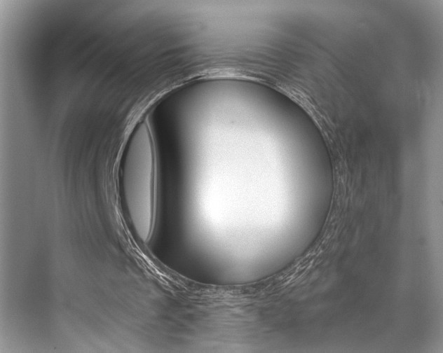 X0000073900289200608110943