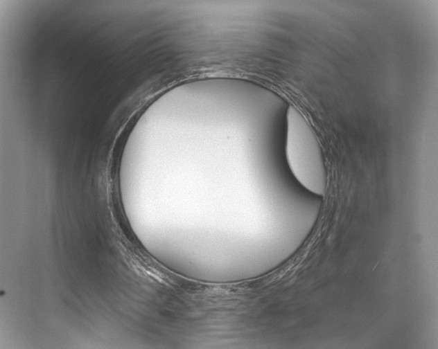 X0000073900290200608110943