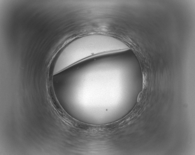 X0000073900291200608110943