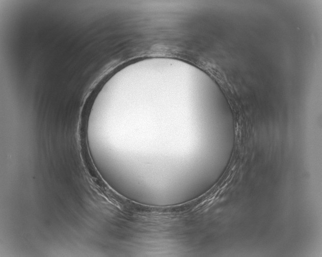 X0000073900292200608110943