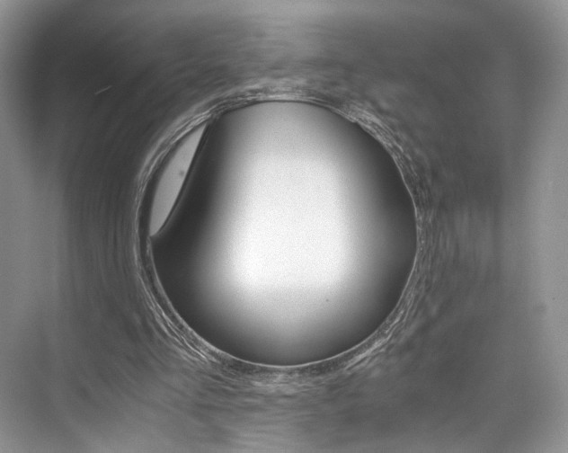 X0000073900293200608110943