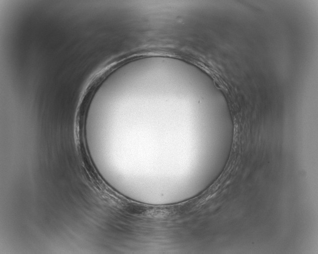 X0000073900294200608110943