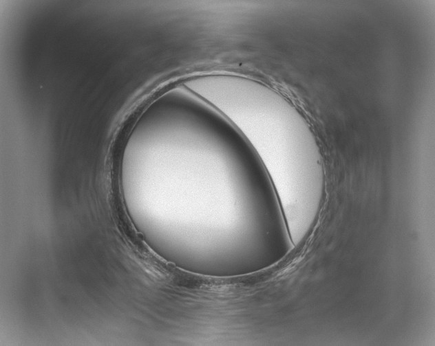 X0000073900295200608110943