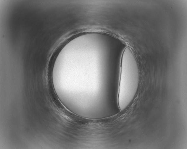 X0000073900296200608110943