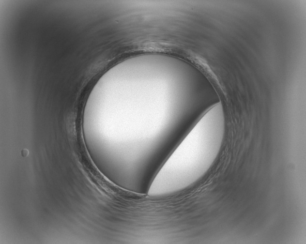 X0000073900299200608110943