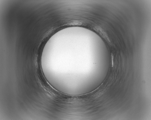 X0000073900300200608110942