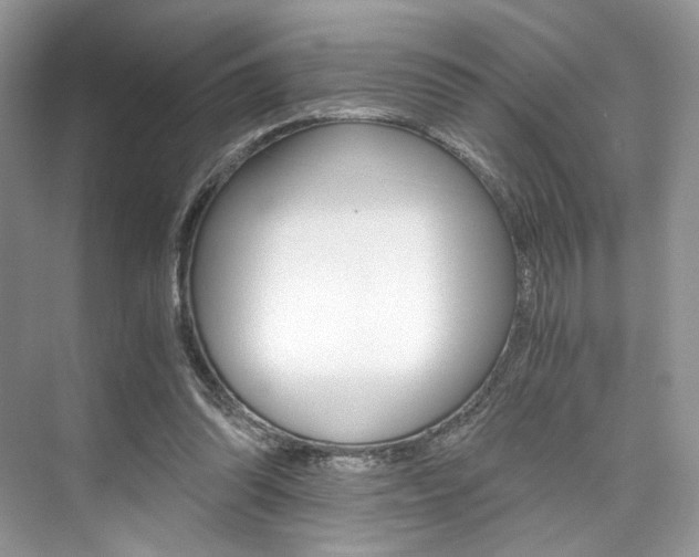 X0000073900302200608110942