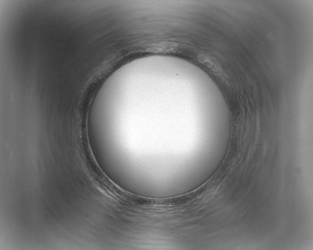 X0000073900303200608110942