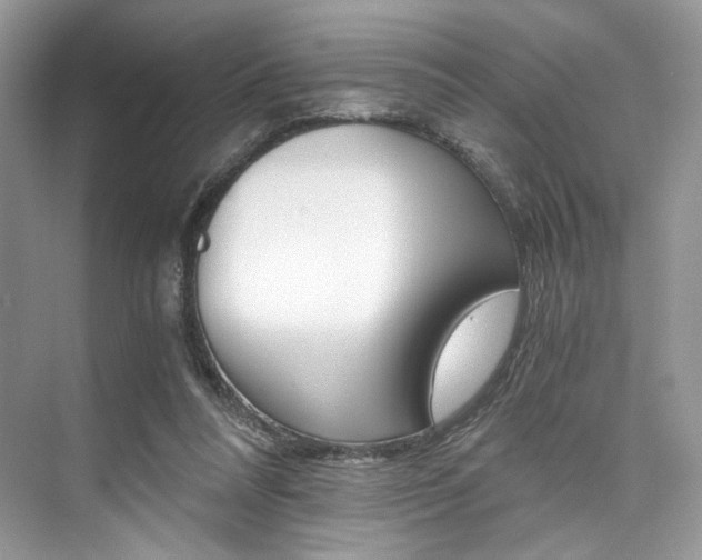 X0000073900304200608110942